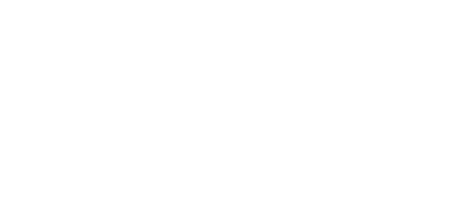 IT-Experten Berlin